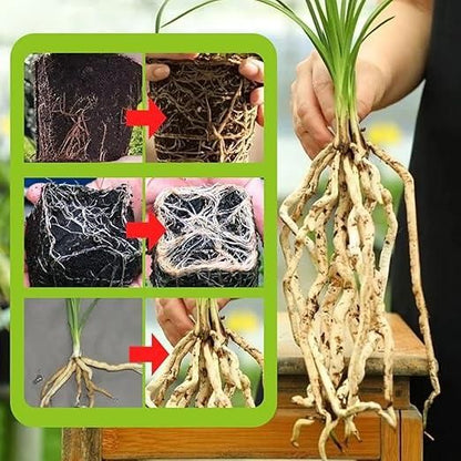 Rapid Strong Rooting Fertilizer 200 gm Pack of 2
